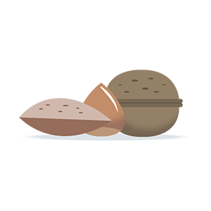 illustration stylisée d'une amande et d'une noix sources de fibres