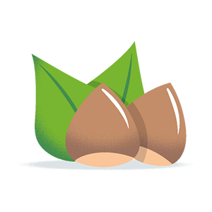 illustration stylisée de noisettes