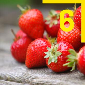 6 : Groenten en fruit tegen constipatie