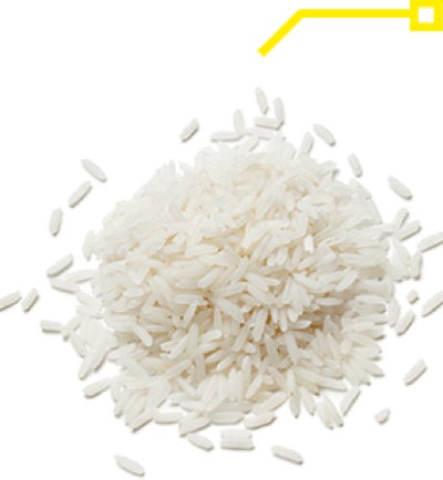 RIJST