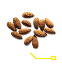 ALMONDS