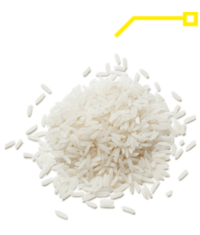 rice