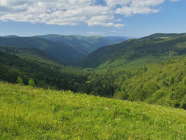 paysage-naturel_0.jpg