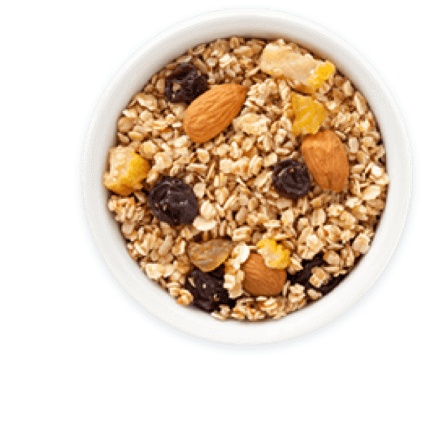 Schaal met granen en gedroogd fruit