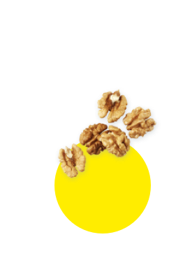 noix