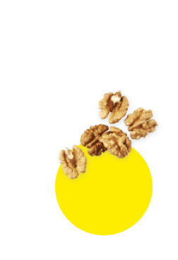 noix_desktop.png